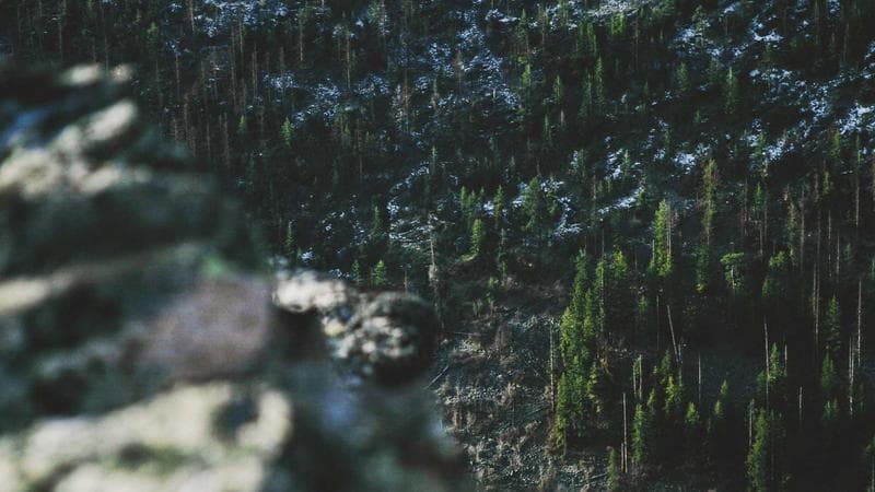 Trésor des Collections — Musée des Beaux-Arts