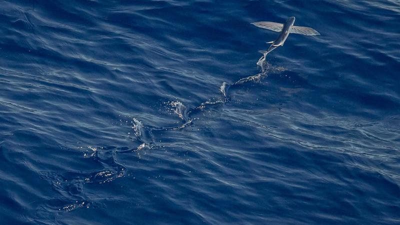 Visite secrète avec la Sœur de Jour à Tours !