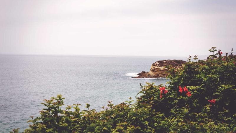 Stage Collage : Viens créer ton chef-d'œuvre à Tours !