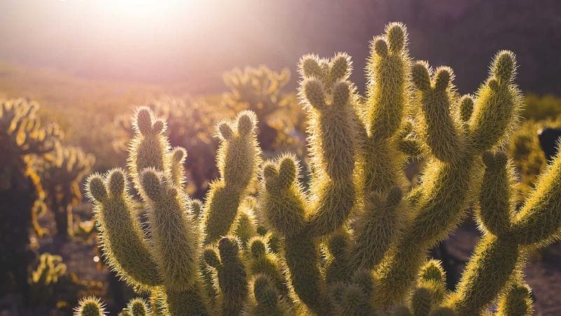 Atelier Écriture : Libère ta plume à Tours !