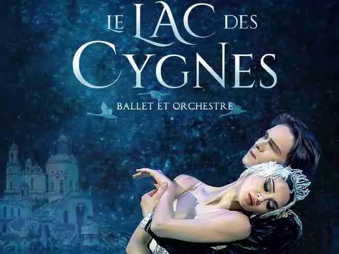 Le Lac des Cygnes : la magie s'invite à Tours !